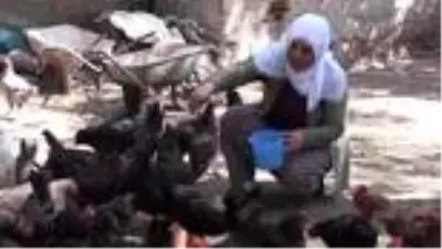 Çiftçilik yapan ilkokul mezunu kadın boş vakitlerinde 2. kitabını yazıyor Çiftçilik yapan ilkokul mezunu kadın boş vakitlerinde 2. kitabını yazıyor