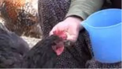 Çiftçilik yapan ilkokul mezunu kadın boş vakitlerinde 2. kitabını yazıyor Çiftçilik yapan ilkokul mezunu kadın boş vakitlerinde 2. kitabını yazıyor