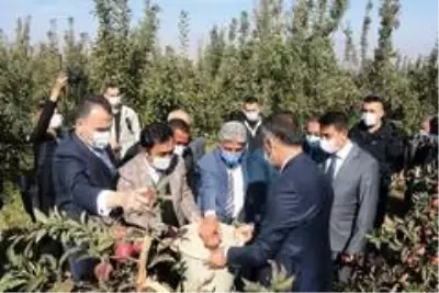 DAP ve DAKA'dan Ahlat'taki elma yetiştiricilerine destek DAP ve DAKA'dan Ahlat'taki elma yetiştiricilerine destek