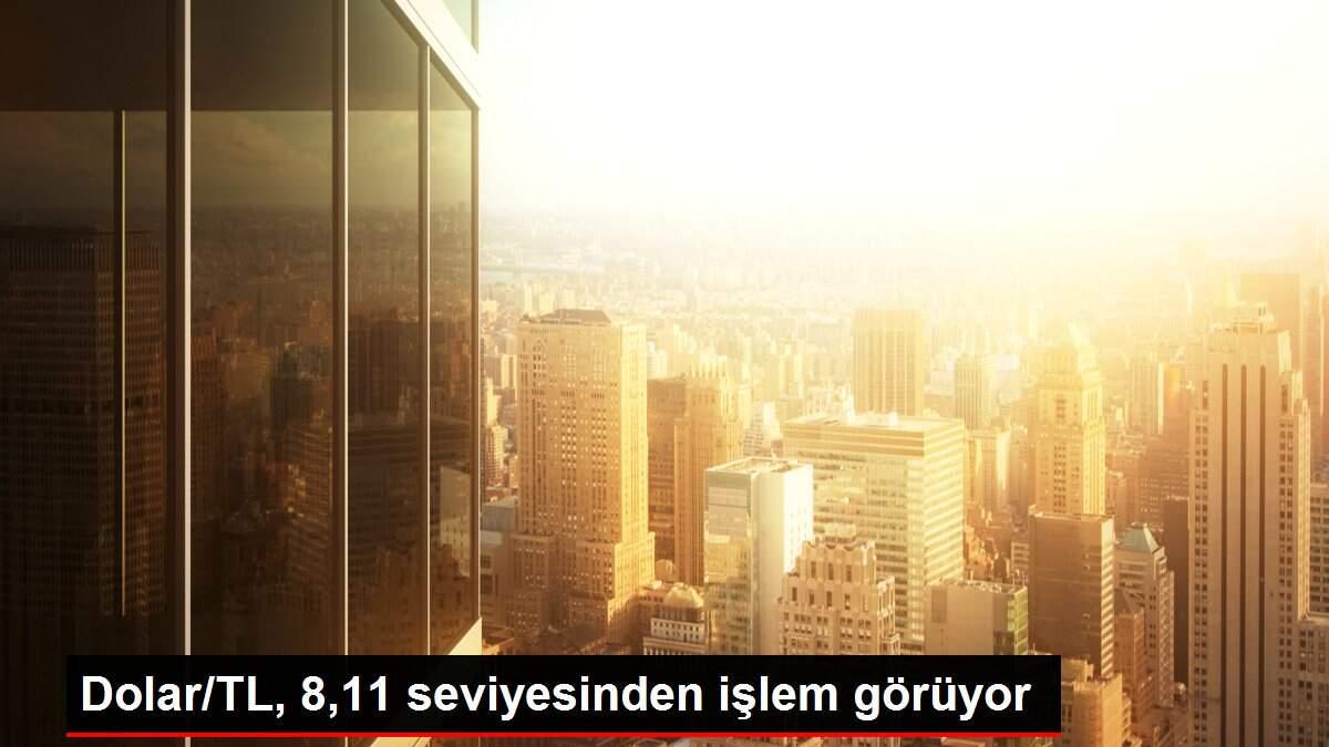 Dolar/TL, 8,11 seviyesinden işlem görüyor