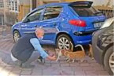 Emekli maaşıyla sokak kedilerine bakıyor Emekli maaşıyla sokak kedilerine bakıyor
