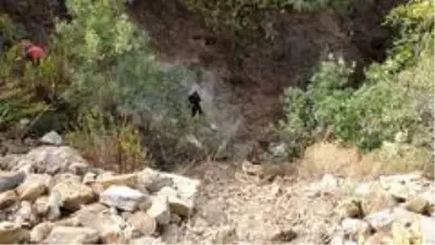 Son dakika yerel: - Freni patlayan araç uçuruma yuvarlandı: 1 ölü Son dakika yerel: - Freni patlayan araç uçuruma yuvarlandı: 1 ölü
