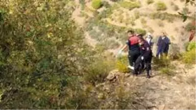 Son dakika yerel: - Freni patlayan araç uçuruma yuvarlandı: 1 ölü Son dakika yerel: - Freni patlayan araç uçuruma yuvarlandı: 1 ölü