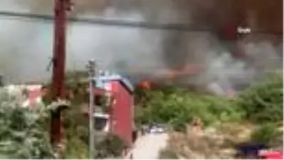 Hatay'da bir orman yangını daha Hatay'da bir orman yangını daha