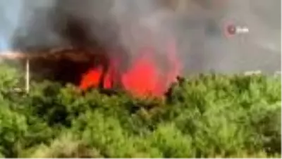 Hatay'da bir orman yangını daha Hatay'da bir orman yangını daha
