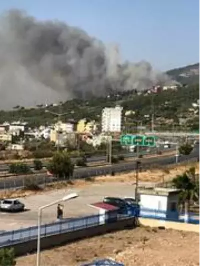 Hatay'da bir orman yangını daha Hatay'da bir orman yangını daha
