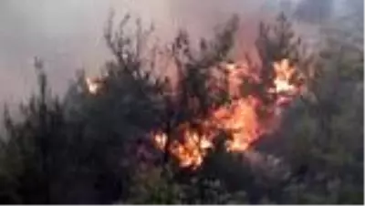 Hatay'da çıkan orman yangını - Alevler yerleşim yerlerine sıçradı (3) Hatay'da çıkan orman yangını - Alevler yerleşim yerlerine sıçradı (3)