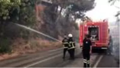 Son dakika haber! Hatay'da çıkan orman yangını - Alevler yerleşim yerlerine sıçradı Son dakika haber! Hatay'da çıkan orman yangını - Alevler yerleşim yerlerine sıçradı
