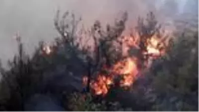Hatay'da çıkan orman yangını - Alevler yerleşim yerlerine sıçradı (3) Hatay'da çıkan orman yangını - Alevler yerleşim yerlerine sıçradı (3)