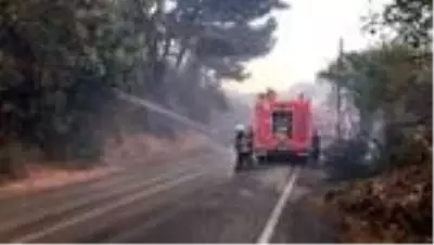 Son dakika haber! Hatay'da çıkan orman yangını - Alevler yerleşim yerlerine sıçradı Son dakika haber! Hatay'da çıkan orman yangını - Alevler yerleşim yerlerine sıçradı