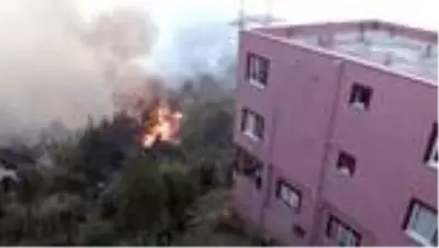 Hatay'da çıkan orman yangını - Alevler yerleşim yerlerine sıçradı (3) Hatay'da çıkan orman yangını - Alevler yerleşim yerlerine sıçradı (3)
