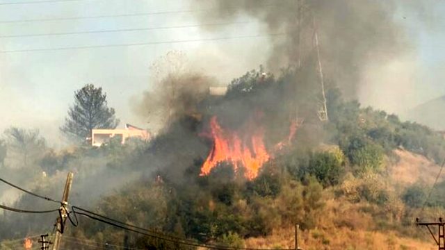 Hatay'ın İskenderun ilçesinde çıkan orman yangını yerleşim yerlerine sıçradı