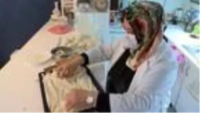 İki genç girişimci mahalle esnafı için mobil uygulama hazırladı İki genç girişimci mahalle esnafı için mobil uygulama hazırladı
