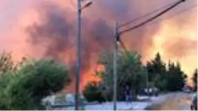 İskenderun'da bir orman yangını daha çıktı; alevler yerleşim yerlerine yaklaştı (3) İskenderun'da bir orman yangını daha çıktı; alevler yerleşim yerlerine yaklaştı (3)