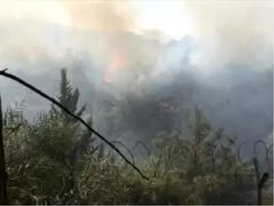 İskenderun'daki orman yangını kontrol altına alındı İskenderun'daki orman yangını kontrol altına alındı