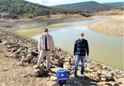 İşletmeler ve pazar yerlerinde balık denetimi yapıldı İşletmeler ve pazar yerlerinde balık denetimi yapıldı