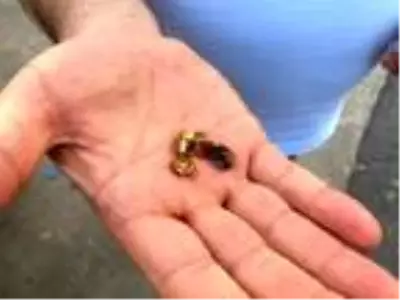 Kadıköy'de sahte altın diş satarak dolandırıcılık yapan 4 kişi yakalandı Kadıköy'de sahte altın diş satarak dolandırıcılık yapan 4 kişi yakalandı