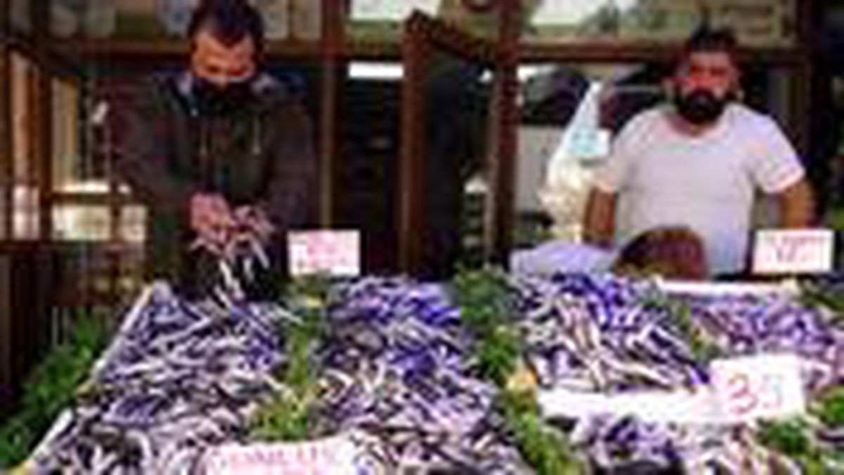 Karadeniz hamsisi tezgahlara inince fiyat 40 TL'den 15 TL'ye düştü
