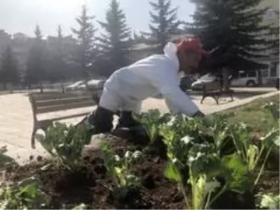 Kars'ta havuzların etrafı çiçekleniyor Kars'ta havuzların etrafı çiçekleniyor
