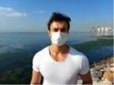 Karşıyaka'da sahil, 'deniz marulu' yosunlarla doldu Karşıyaka'da sahil, 'deniz marulu' yosunlarla doldu
