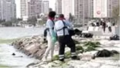 Karşıyaka sahili deniz marullarıyla doldu Karşıyaka sahili deniz marullarıyla doldu