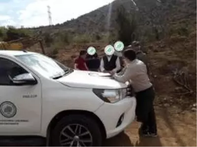 Kayseri'de yasa dışı av yapan 6 kişiye 183 bin TL para cezası kesildi Kayseri'de yasa dışı av yapan 6 kişiye 183 bin TL para cezası kesildi