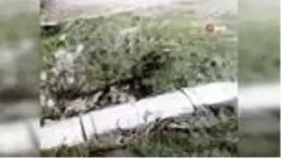 Kayseri'de yasa dışı av yapan 6 kişiye 183 bin TL para cezası kesildi Kayseri'de yasa dışı av yapan 6 kişiye 183 bin TL para cezası kesildi