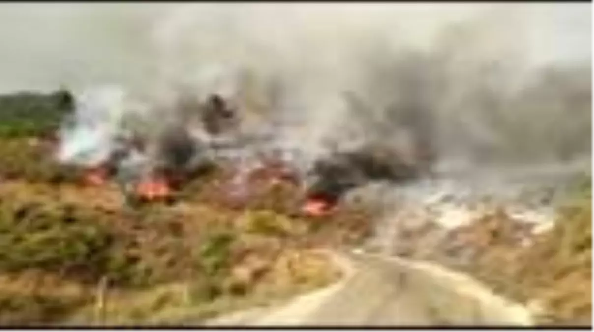 Son dakika haberleri: Kozan'da çıkan orman yangını kontrol altına alındı