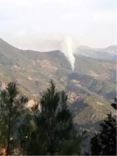 Mersin'deki yangında ev ve seralar da zarar gördü Mersin'deki yangında ev ve seralar da zarar gördü
