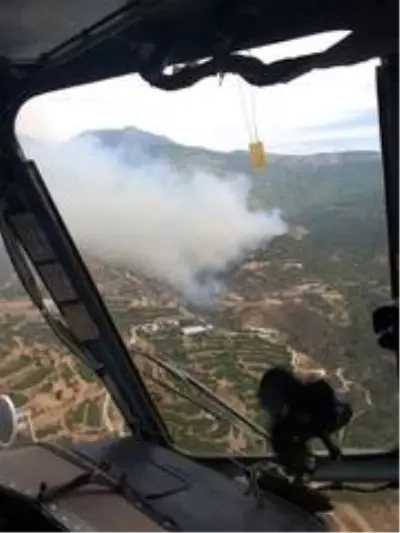 Mersin'deki yangında ev ve seralar da zarar gördü Mersin'deki yangında ev ve seralar da zarar gördü