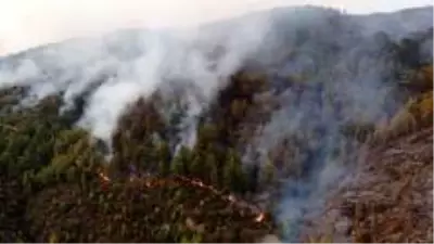 Son dakika haberi | Anamur'da orman yangını devam ediyor Son dakika haberi | Anamur'da orman yangını devam ediyor