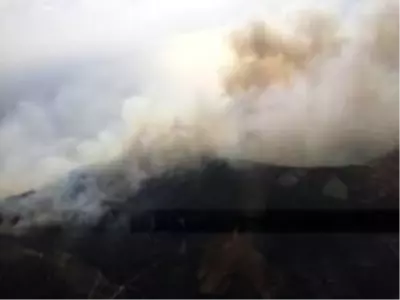 Mersin'deki yangında ev ve seralar da zarar gördü Mersin'deki yangında ev ve seralar da zarar gördü