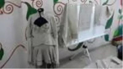 Rize'de, 60 yıl sonra üretilen kenevir hasat ediliyor Rize'de, 60 yıl sonra üretilen kenevir hasat ediliyor