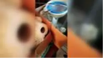 Sahte içki operasyonunda 7 şüpheli yakalandı Sahte içki operasyonunda 7 şüpheli yakalandı