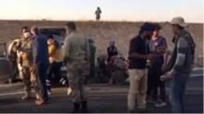 Şanlıurfa'da tarım işçilerini taşıyan minibüs devrildi: 1 ölü, 11 yaralı Şanlıurfa'da tarım işçilerini taşıyan minibüs devrildi: 1 ölü, 11 yaralı