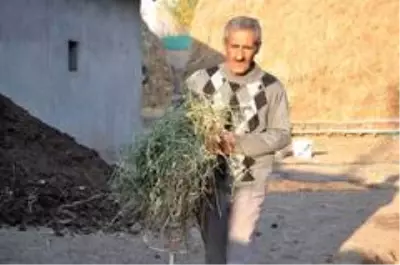 'Sarı Kız'ın sahibi Mehmet Emin Amca artık çok mutlu 'Sarı Kız'ın sahibi Mehmet Emin Amca artık çok mutlu