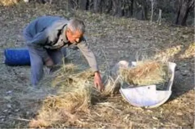 'Sarı Kız'ın sahibi Mehmet Emin Amca artık çok mutlu 'Sarı Kız'ın sahibi Mehmet Emin Amca artık çok mutlu