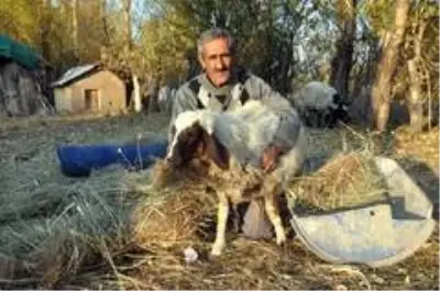 'Sarı Kız'ın sahibi Mehmet Emin Amca artık çok mutlu 'Sarı Kız'ın sahibi Mehmet Emin Amca artık çok mutlu