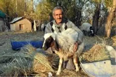 'Sarı Kız'ın sahibi Mehmet Emin Amca artık çok mutlu 'Sarı Kız'ın sahibi Mehmet Emin Amca artık çok mutlu