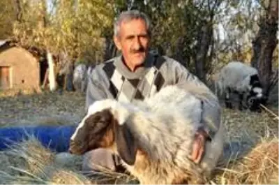 'Sarı Kız'ın sahibi Mehmet Emin Amca artık çok mutlu 'Sarı Kız'ın sahibi Mehmet Emin Amca artık çok mutlu