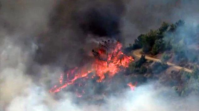Son Dakika: Mersin Anamur'da orman yangını! 50 hane boşaltıldı, Mersin-Antalya karayolu kapatıldı