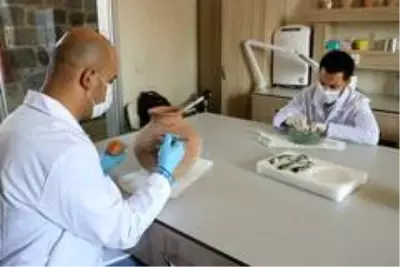 Türkiye'nin tarihi eserleri Diyarbakır'da restore ediliyor Türkiye'nin tarihi eserleri Diyarbakır'da restore ediliyor