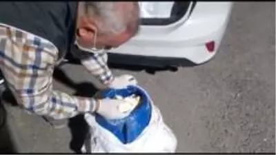 Van otlu peynir içinde 106 kilo eroin sevkiyatına NSM darbesi Van otlu peynir içinde 106 kilo eroin sevkiyatına NSM darbesi