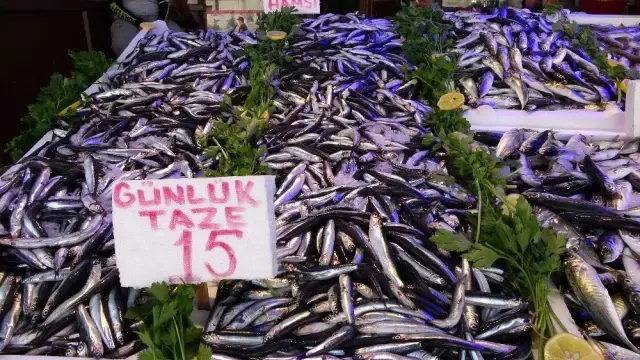 Karadeniz hamsisi tezgahlara inince fiyat 40 TL'den 15 TL'ye düştü Karadeniz hamsisi tezgahlara inince fiyat 40 TL'den 15 TL'ye düştü