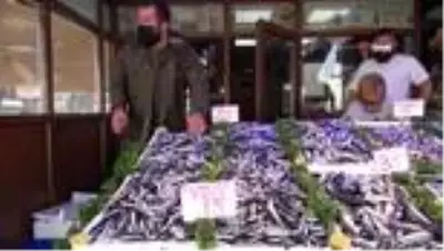 - Yerlisi çıktı, kilosu 40 TL'den 15 TL'ye düştü - Yerlisi çıktı, kilosu 40 TL'den 15 TL'ye düştü