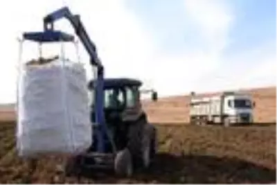 Patates sektöründen bu yıl 350 milyon TL gelir bekleniyor Patates sektöründen bu yıl 350 milyon TL gelir bekleniyor