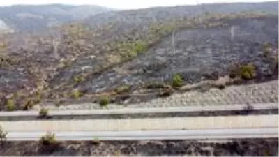 Alevlerin arasında kalan Azganlık Şehitliği ise yangında etkilenmedi Alevlerin arasında kalan Azganlık Şehitliği ise yangında etkilenmedi