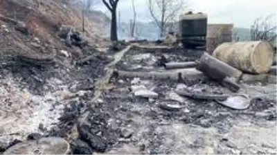 Alevlerin arasında kalan Azganlık Şehitliği ise yangında etkilenmedi Alevlerin arasında kalan Azganlık Şehitliği ise yangında etkilenmedi