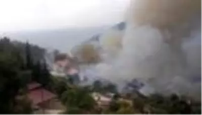 Anamur'daki orman yangınında 150 hektar alan zarar gördü Anamur'daki orman yangınında 150 hektar alan zarar gördü