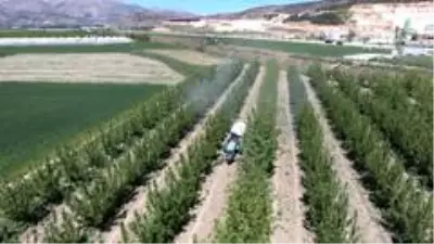 Antalya'da 523 bin 580 dekar tarım arazisi sulandı Antalya'da 523 bin 580 dekar tarım arazisi sulandı